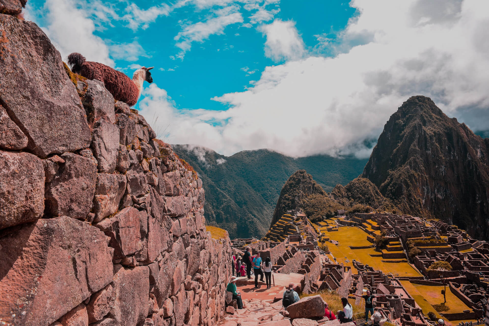 machupicchu-inca-jungle1