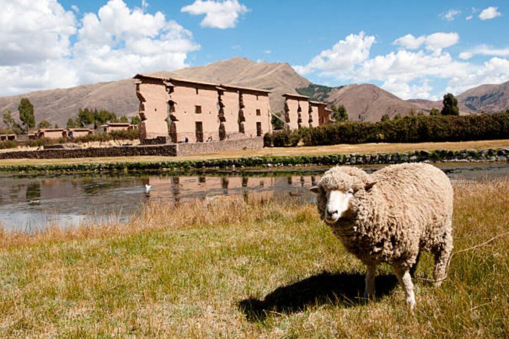 Full Day Raqchi Archaeological Complex Tour